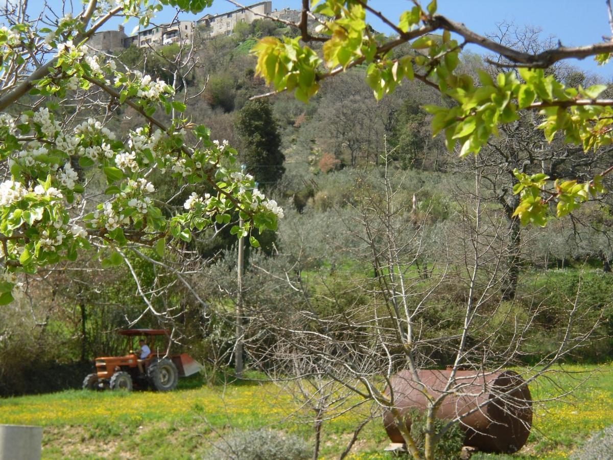 נארני Montanari Agrivillage מראה חיצוני תמונה