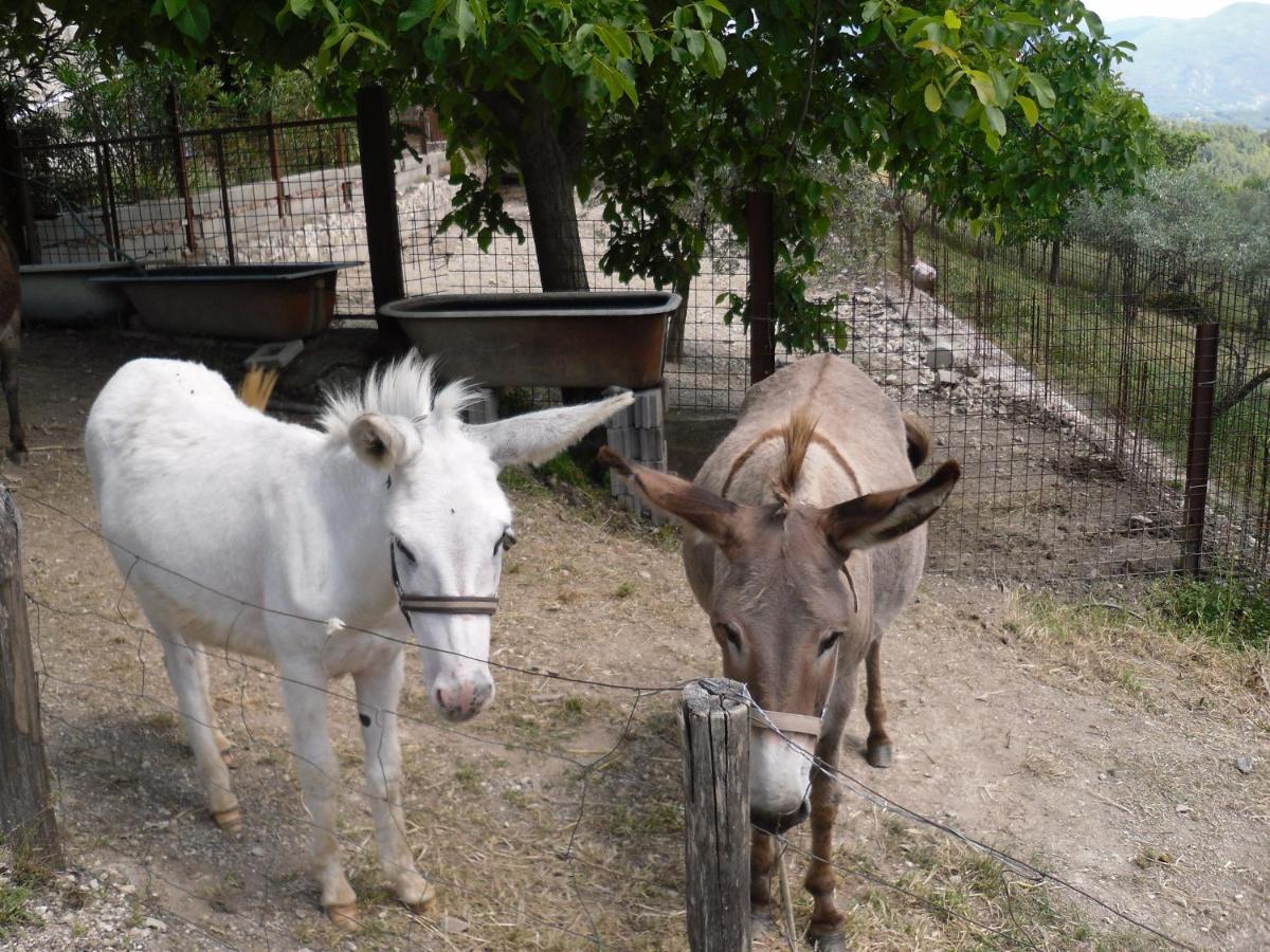 נארני Montanari Agrivillage מראה חיצוני תמונה